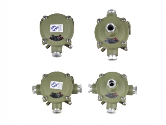 Reasonable price Explosion Proof Lb Condulet - AH series Explosion-proof junction box – Feice